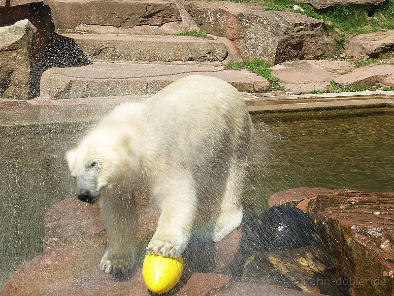 karin-134218-201.jpg - Nochmals beim schütteln das nass hätten wir auch gerne gehabt hatten bis zu 30 Grad