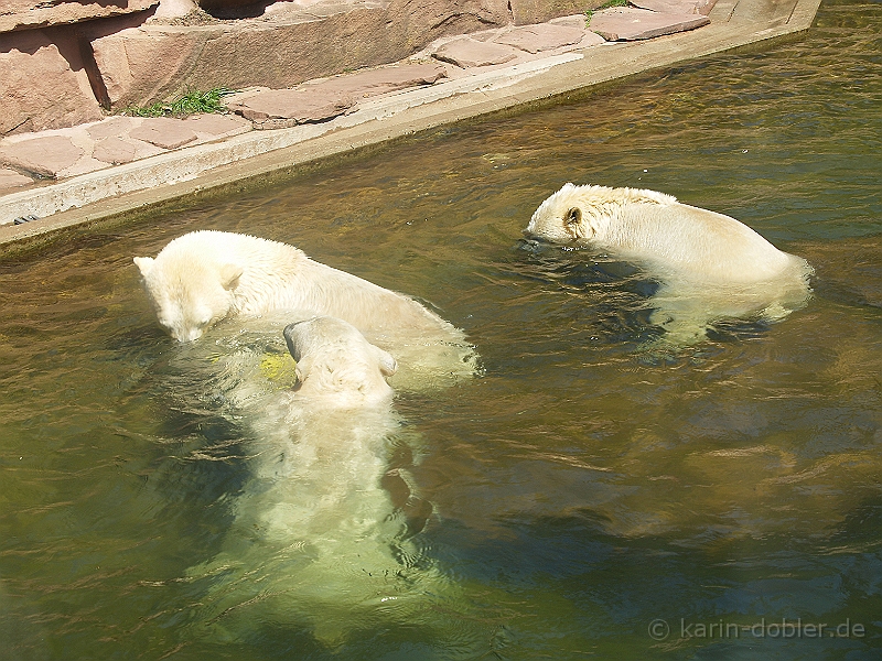 karin-135240-225.jpg - Hier beim Unterwasser schauen