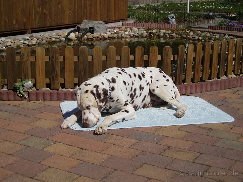 Karin-1340-0006.jpg - Ich am Teich auf unserer Terrasse