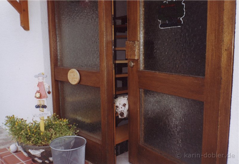 wirwollennichts.jpg - Da hab ich nach geschaut wer kommt